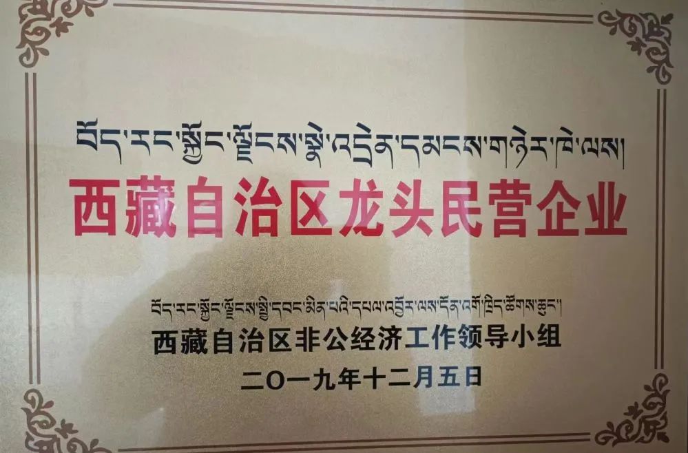 1686284904175045903.jpg